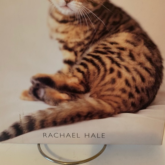 My cat record book hardcover keepsake journal by photographer Rachel hale - Picture 11 of 11